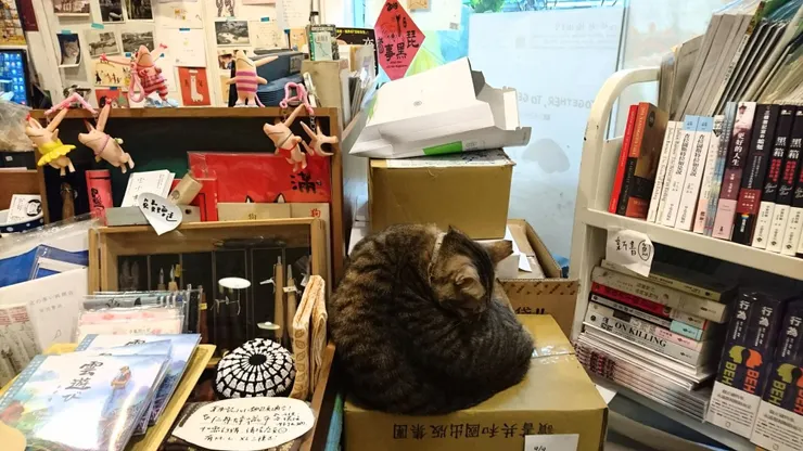 vocus|新世代的創作平台