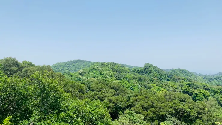 都市已經很少有這樣的場景了。