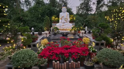 春節花卉燈飾布置，歡迎遊山賞燈