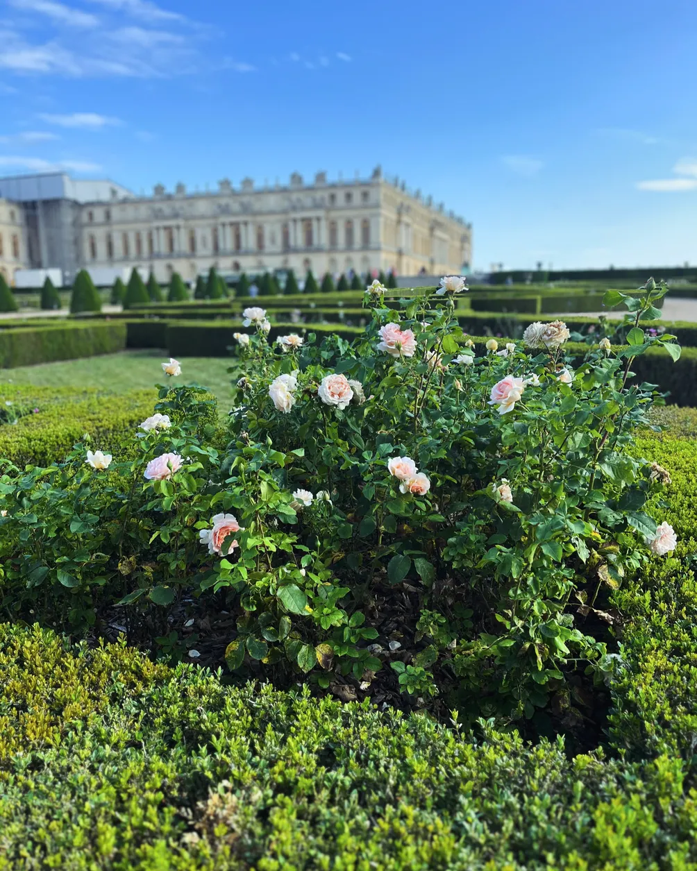 私の部屋：世界、歷史、人生的万華鏡