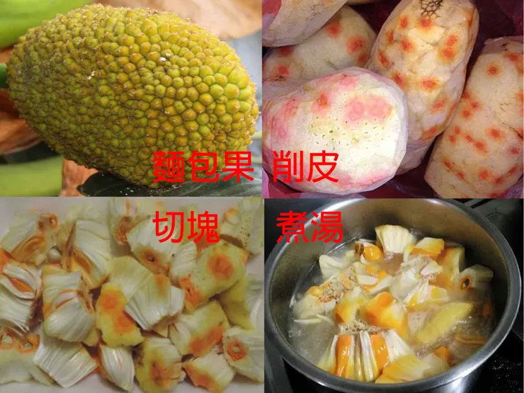 圖3  麵包果熬湯