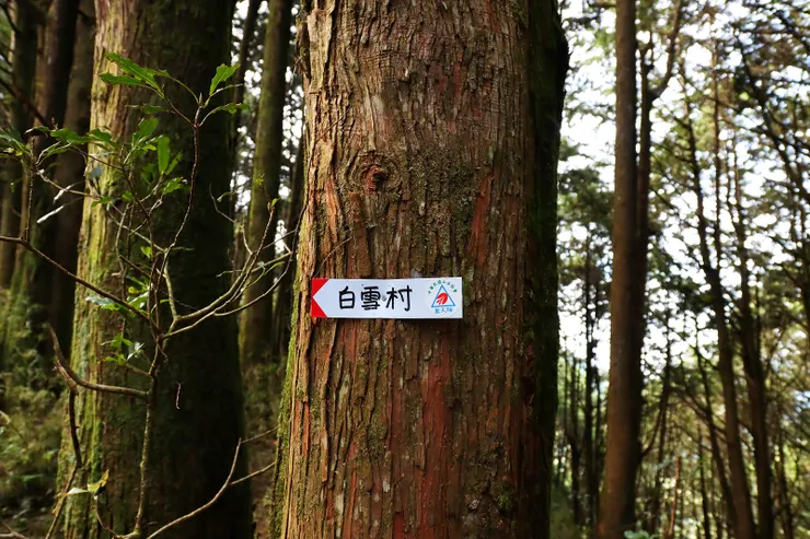 休息片刻後，前進白雪村