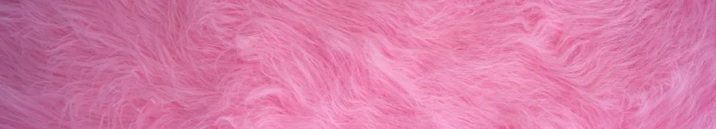 週一罷工的市井小旻的沙龍