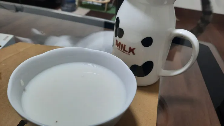 沉入牛奶底部的酒釀+牛奶