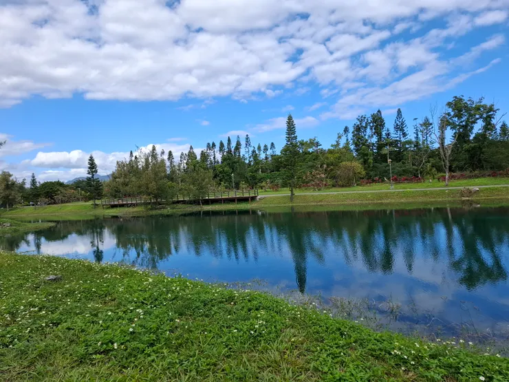 台東森林公園琵琶湖｜戒藥期間騎淑女車來這裡，水草在湖面下慢慢晃動，陽光照下來像一整面透明的鏡子。那一刻，我的注意力從心悸和身體不適裡移開，短暫地把自己放進風景裡。