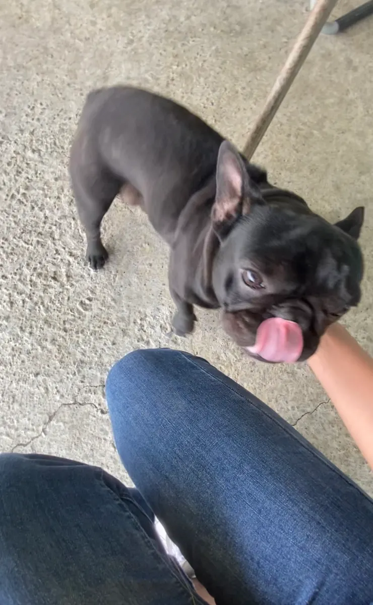 一邊蹭人家的腿還會一邊抬頭看我😎