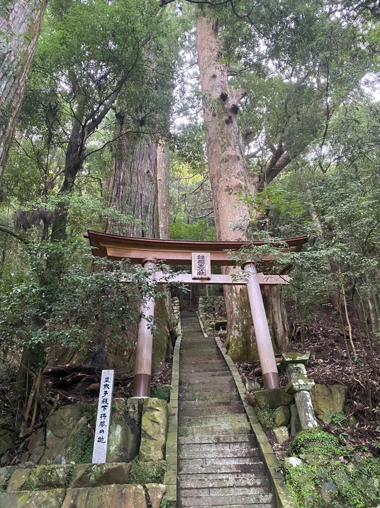 繼櫻王子的兩棵神木看起來有夠帥氣，但當下沒時間也沒心情上去看看QQ