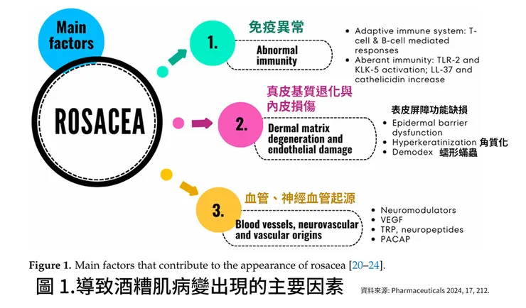 酒糟肌急救指南!