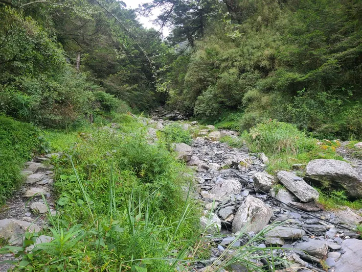 沿溪谷而上，但靠右側也有一條山路可走