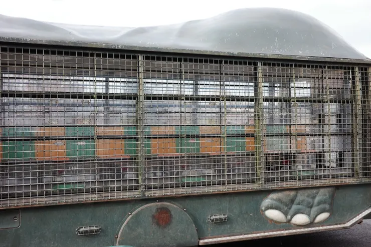 車側都是鐵柵欄，等等就知道這個功用為何了