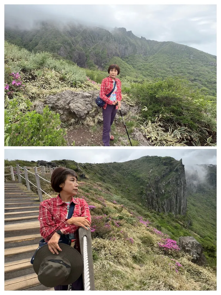 高山杜鵑讓靈室線更亮麗