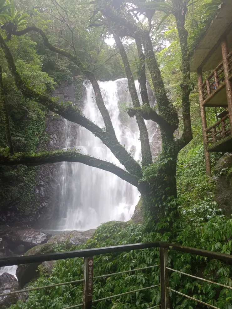 健行當日，水量足夠，更能彰顯處女瀑布之壯觀
