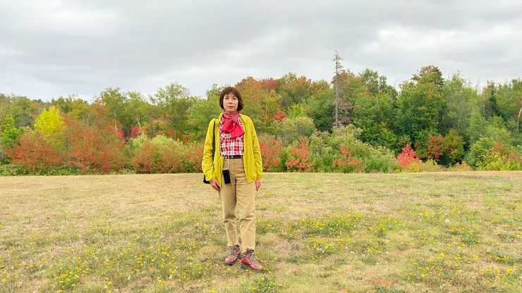 秋天的氣息和色彩