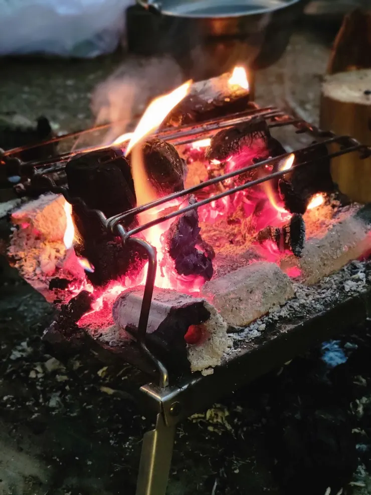 在生理得到滿足後，眾人就在營火前聚著，隨意說笑著~累了，就各自鑽回自已的小窩休息。天還是有點涼，但是大家的心想必都是暖的吧。