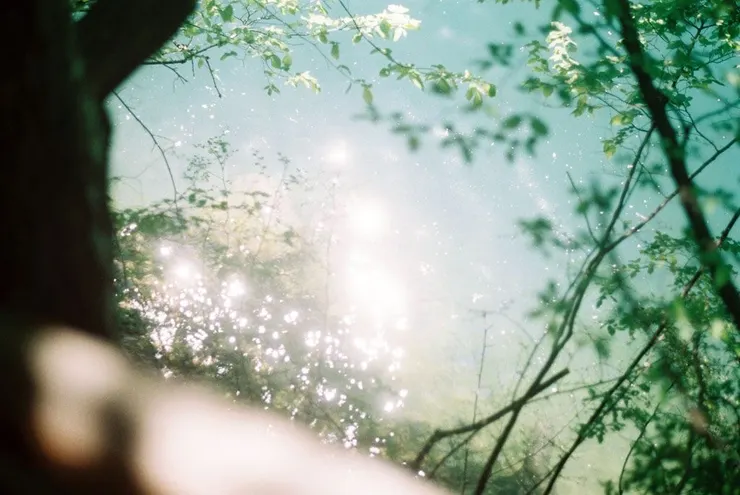 圖片來源：pinterest