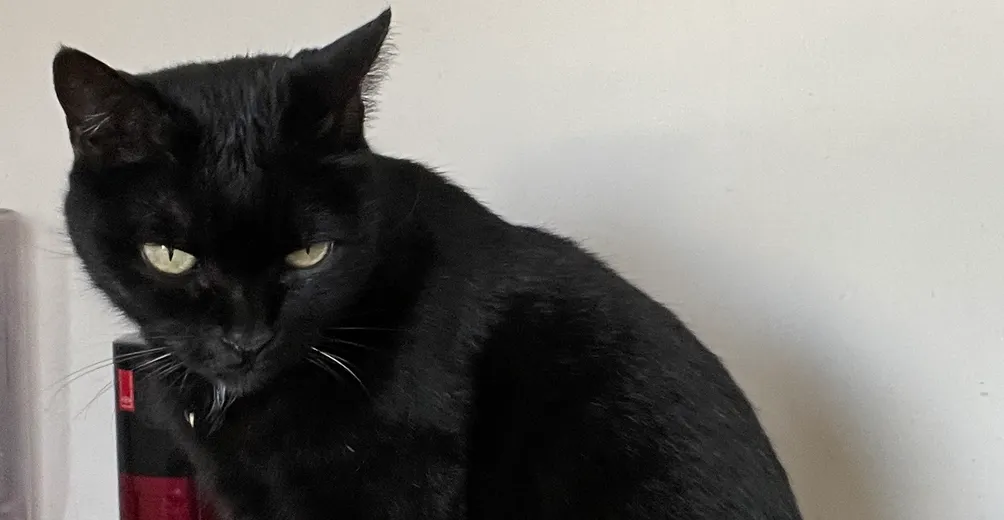 快樂星期一的開盤