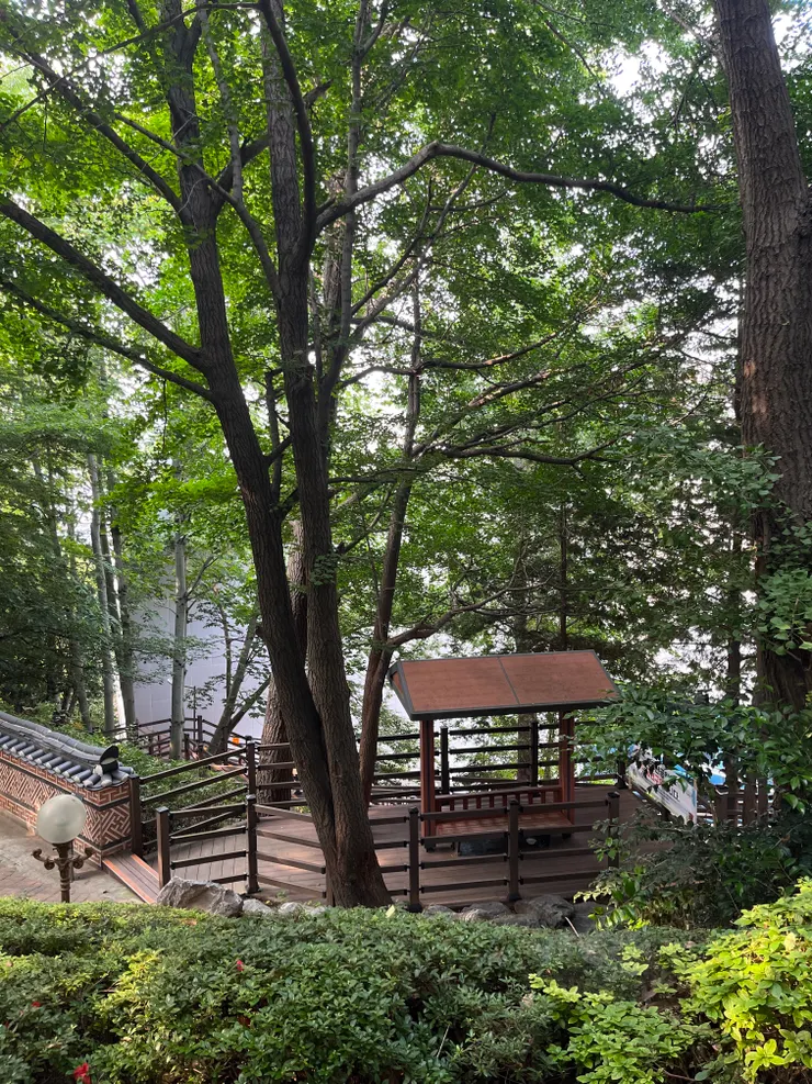森林公園內部。