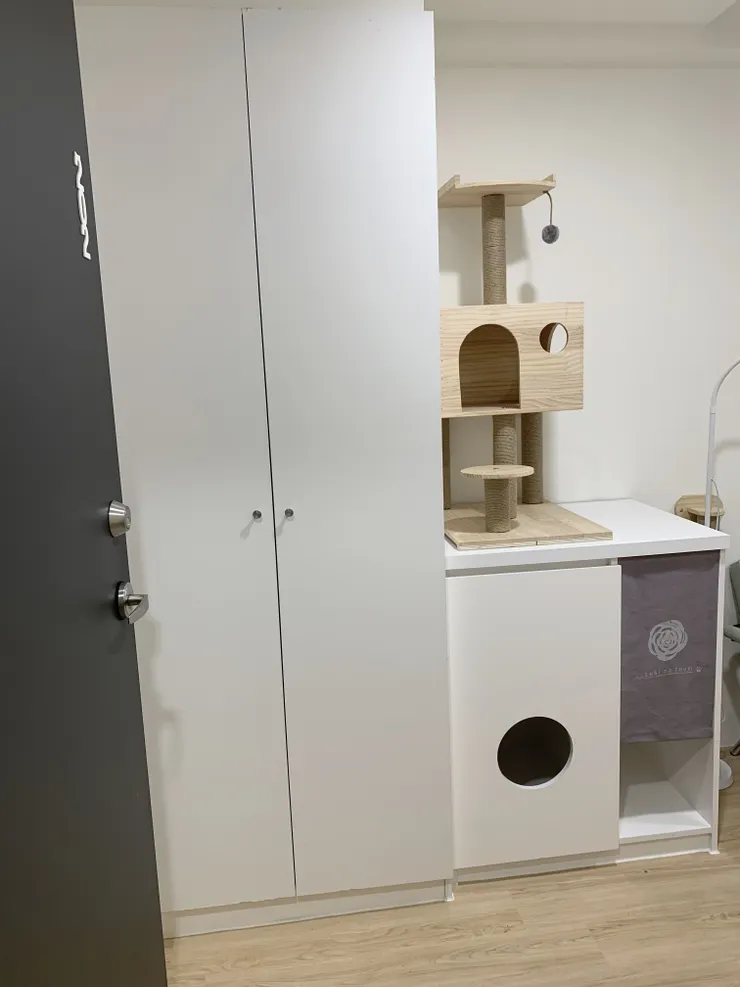  202 房的貓砂位置