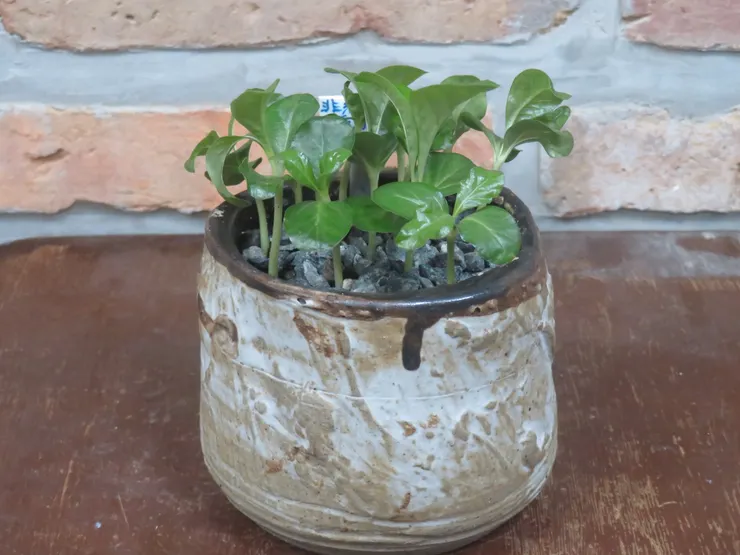 淡水社大113.06.04