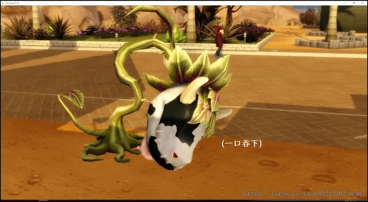 小可啊啊啊啊啊！