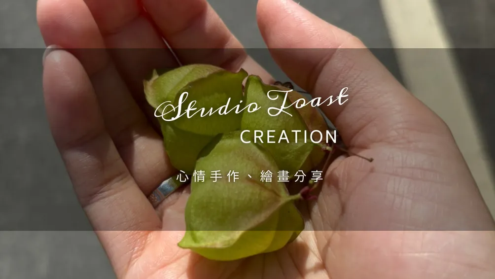 Studio Toast