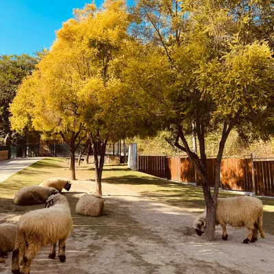 二分之一的留白