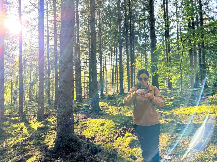 在Laholm森林初次摘野生磨菇，太太太太香了！