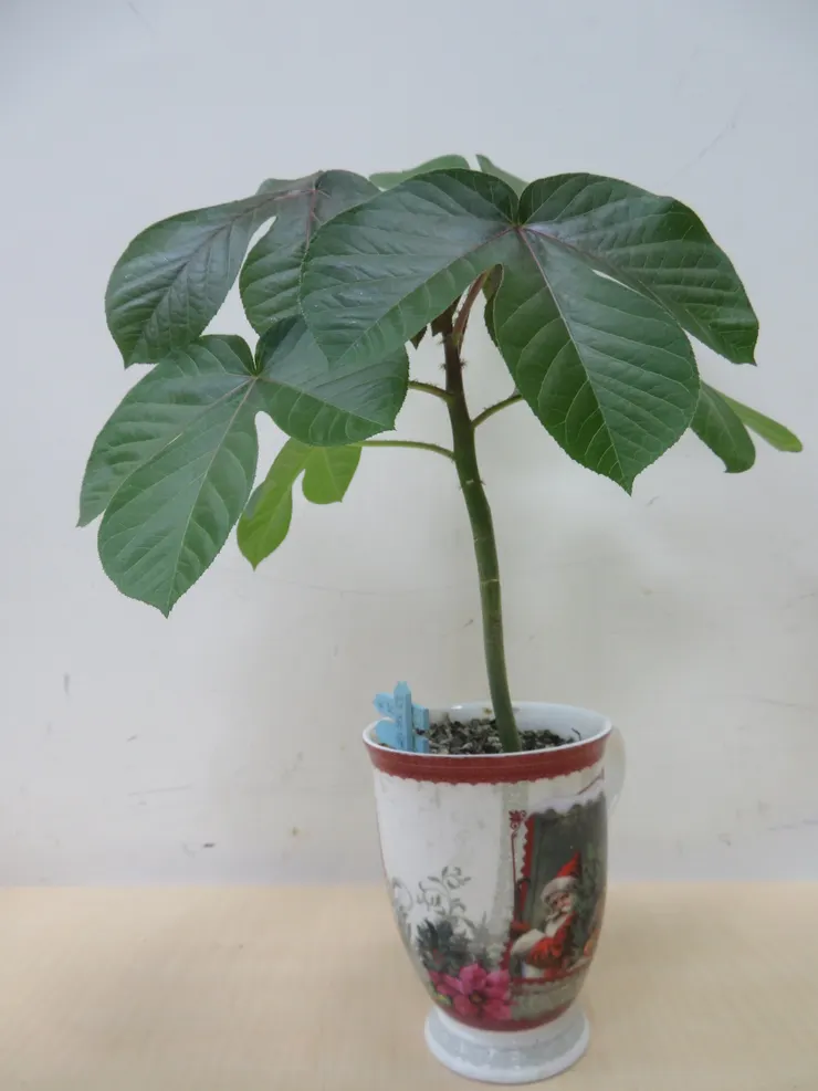 新莊農會112.07.03