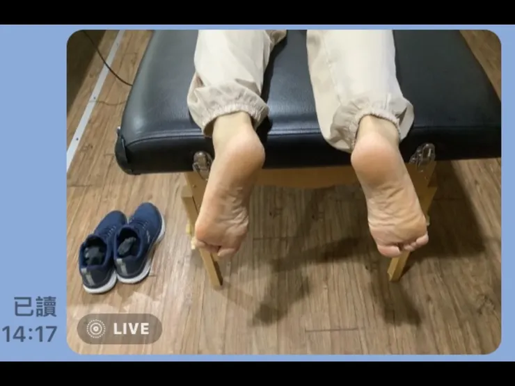 圖五:健康有運動老驢的腳底板(偏正常足弓)