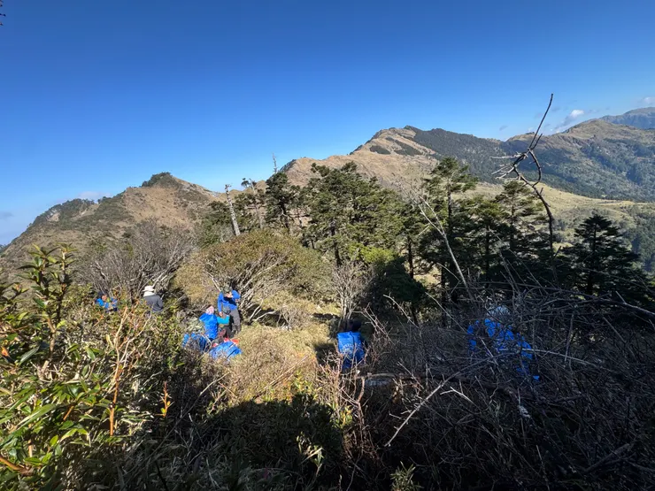 在樹林陰影下小憩。