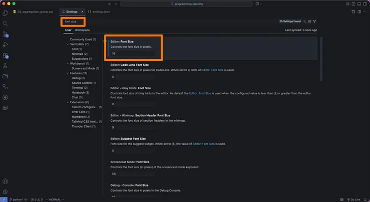 VS Code font size setting.jpg