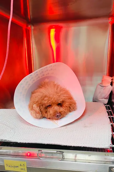 唉~畢竟年齡大了…