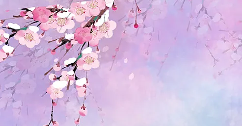 股期踢娜的沙龍