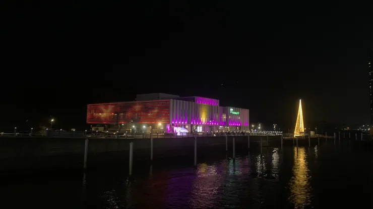 夜空中的它跟別人特別不一樣。