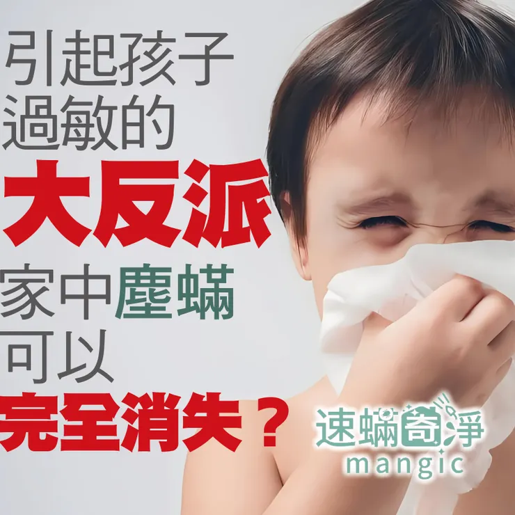 新北除螨推薦.台北除螨推薦.新北除塵滿.台北除塵螨