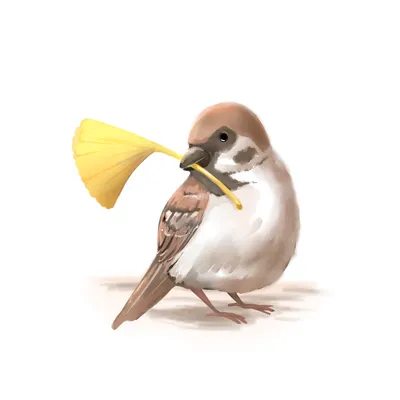 九官鳥吱吱喳喳