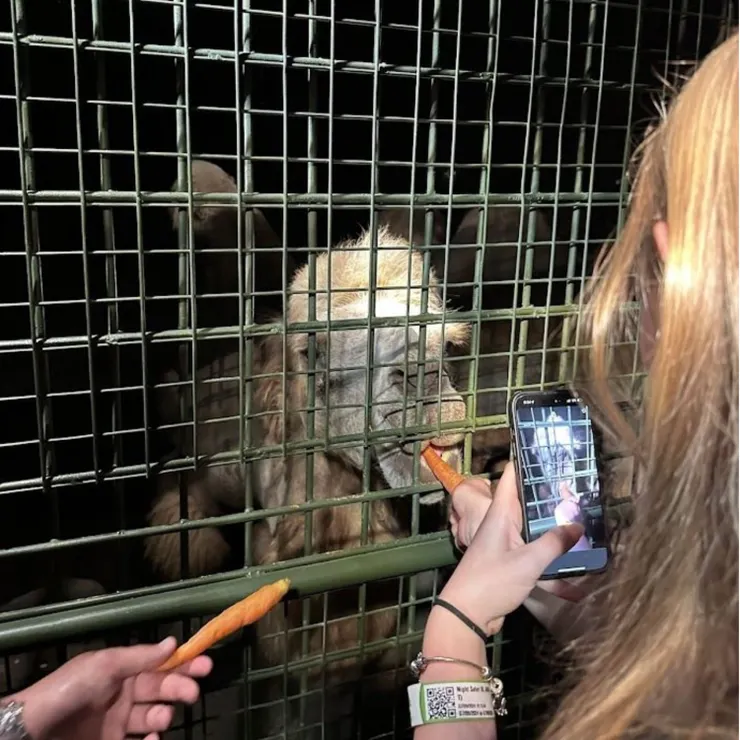 （張家偉提供）