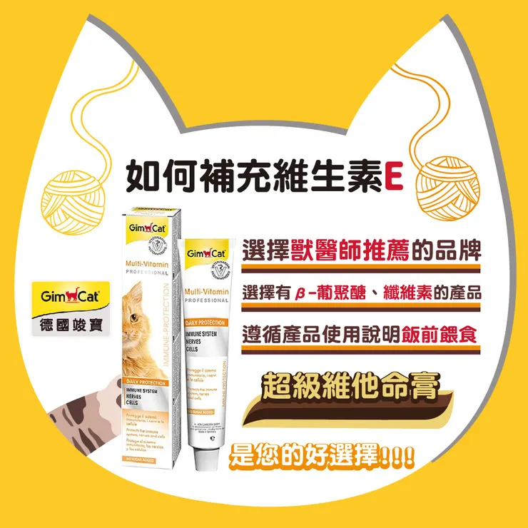 如何挑選適合貓咪補充的維他命E