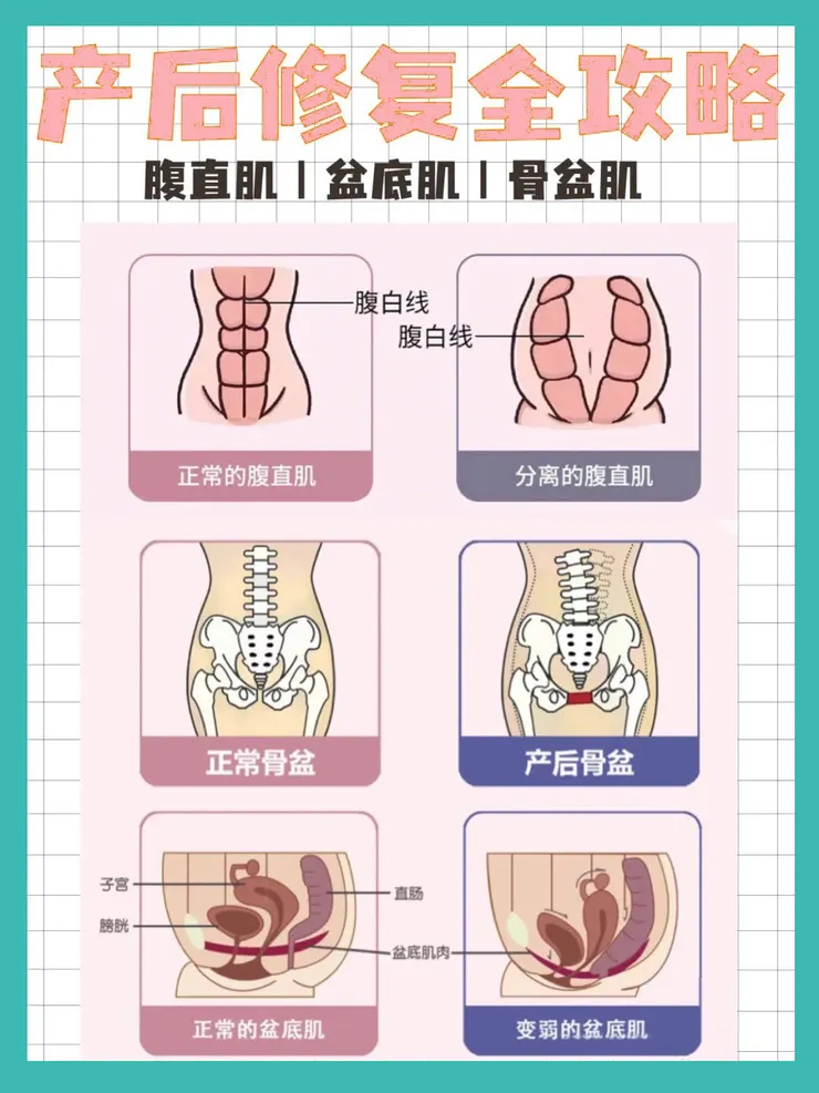 產後修復三大主軸