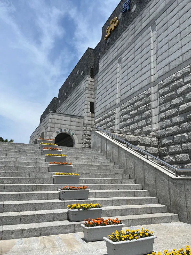 往另一側樓梯上去就會抵達博物館。