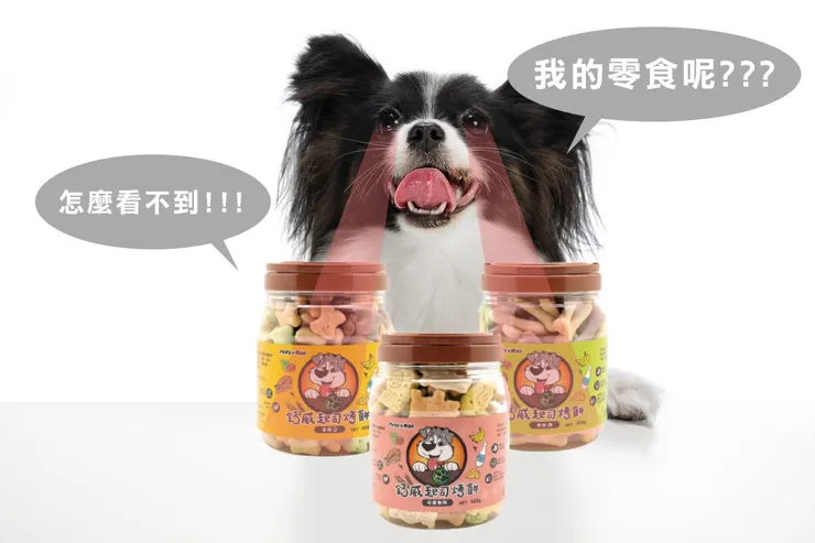 👁️歪頭有時候只是想看得更清楚👁️