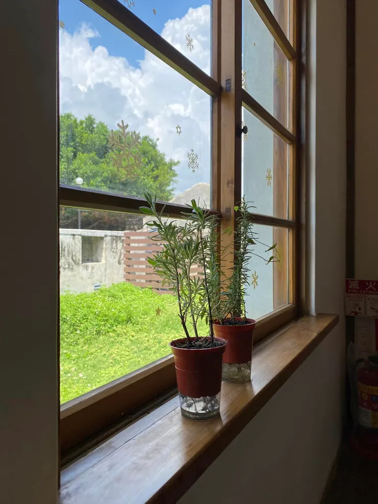 為了獨佔這扇窗，點了杯冷飲停留在店內