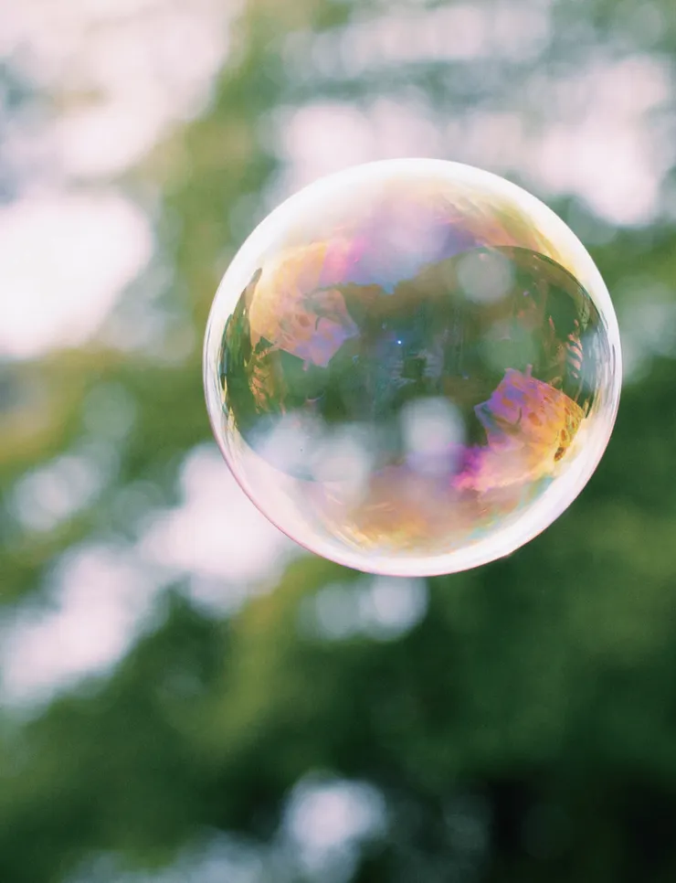 (Photo by Braedon McLeod on Unsplash)