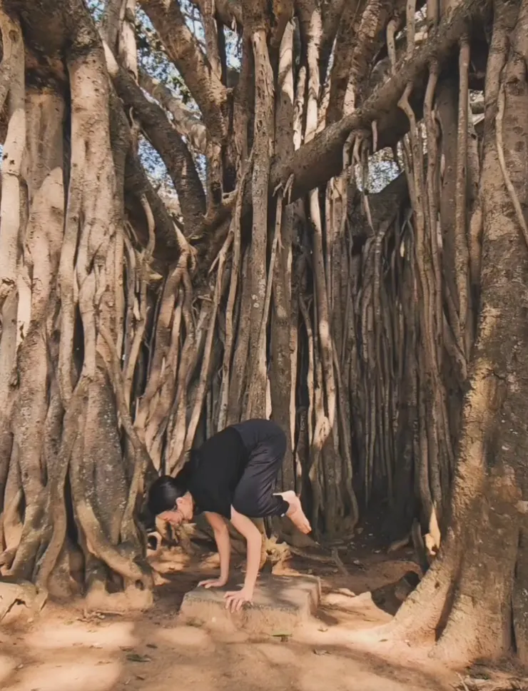 像我這種手長腳長的身形 對於手平衡類的體位法是天生的弱項 看看如影片中去年底的我w