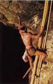 圖片取材自台灣光華雜誌。