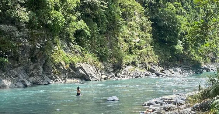 顛倒樹/流波治泰的沙龍