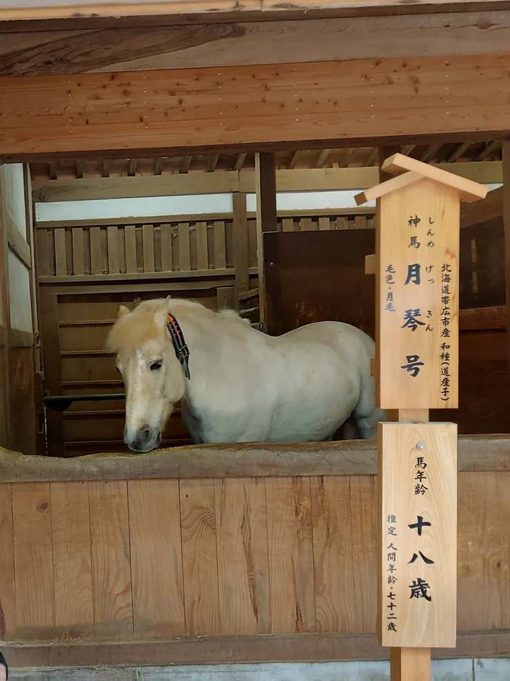 桜馬場有二匹神馬