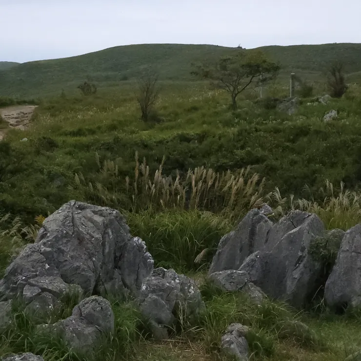 喀斯特地形 (karst)