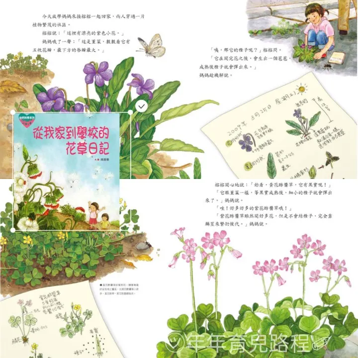 陳麗雅-從我家到學校的花草日記