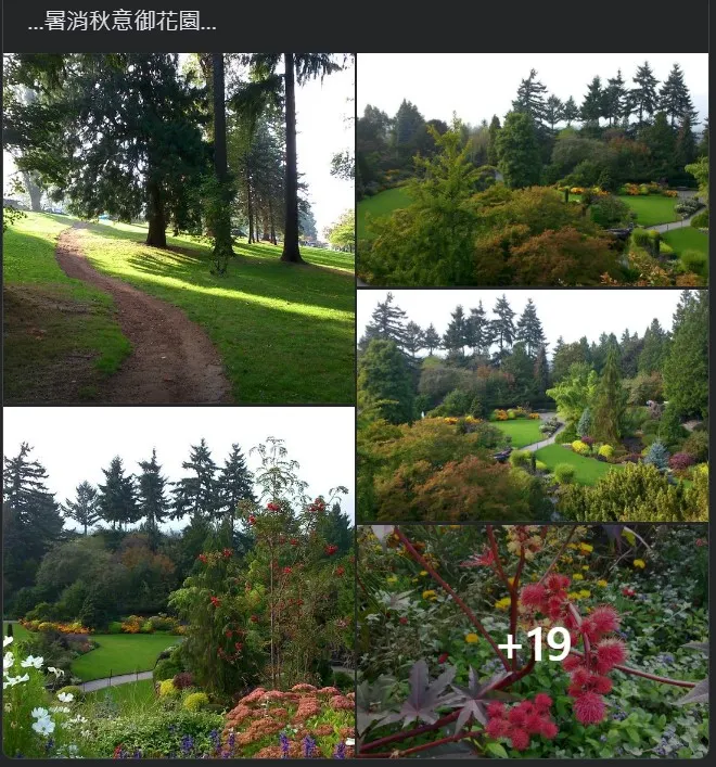 北美Dream-Maker培訓基地